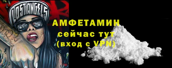 PSILOCYBIN Белокуриха