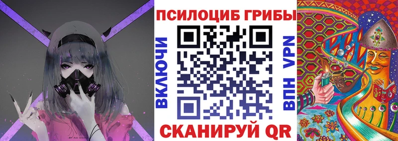 даркнет клад Буй Галлюциногенные грибы Magic Shrooms