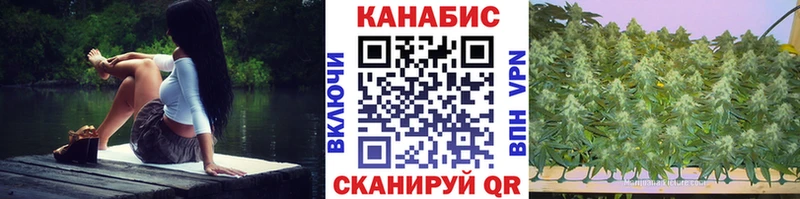 Бошки Шишки индика  Буй 